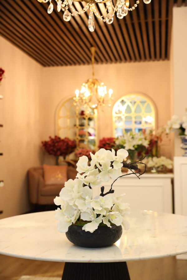 فاندا كبيرة في وعاء السيراميك - Image 3