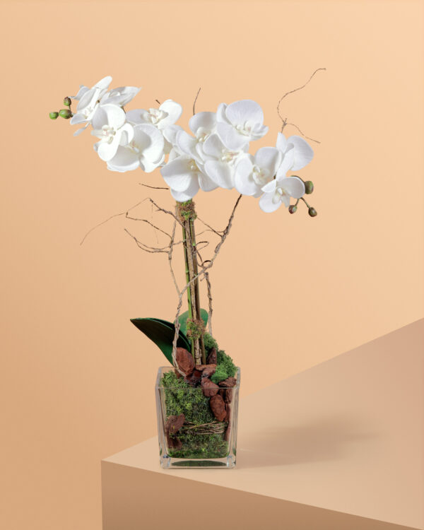 Orchids arrangement in cube Vase - Image 2