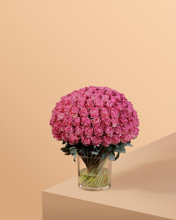 روز رويال دوم