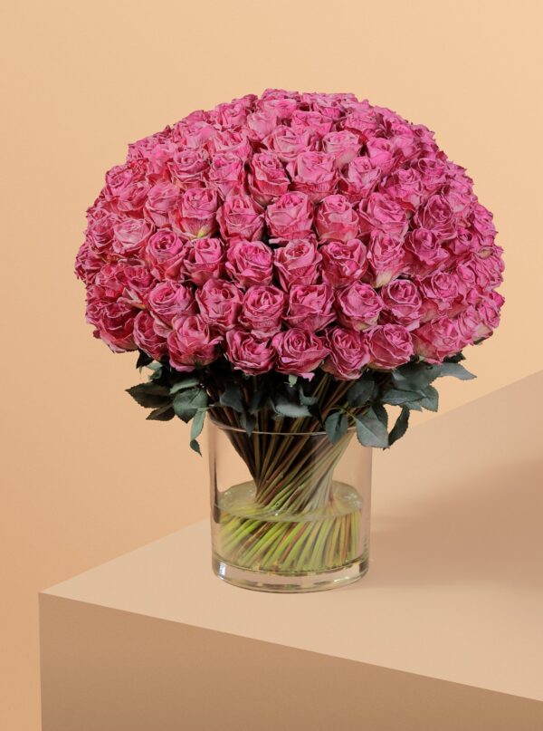 روز رويال دوم - Image 5