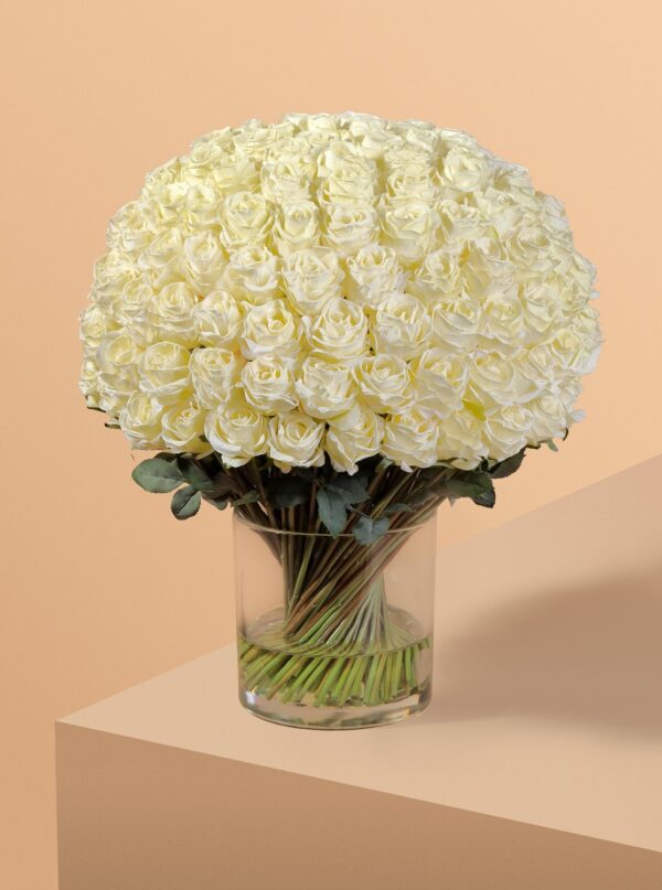 روز رويال دوم - Image 3
