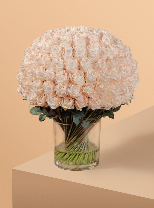 روز رويال دوم - Image 6