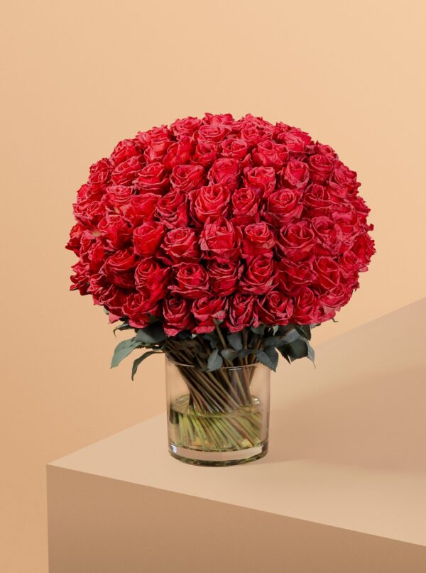 روز رويال دوم - Image 4