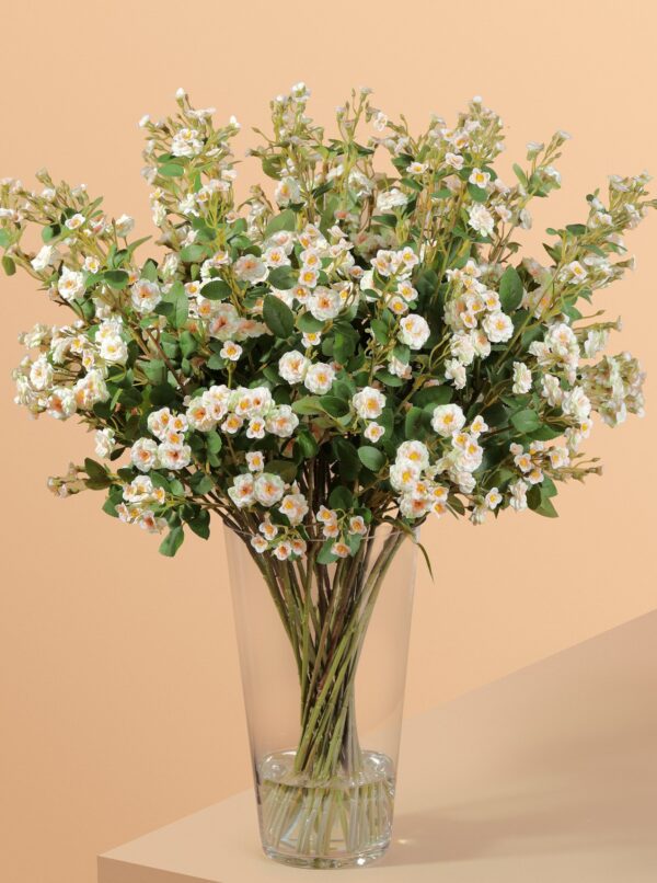 XL Baby Rose with Green Leaves