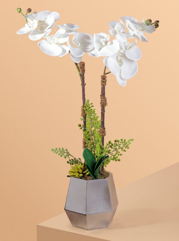 Orchids in a tall, Elegant Sliver metal vase