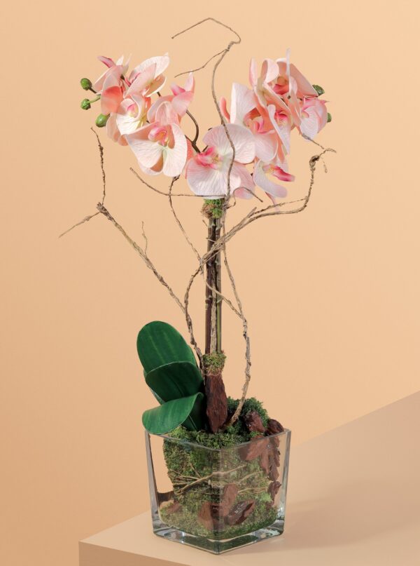 Orchids arrangement in cube Vase